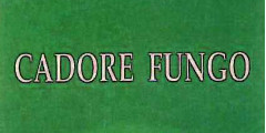 Cadore Fungo